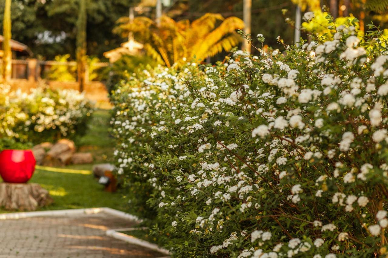 Pousada Betânia Gramado Exterior foto